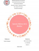 Bioética, ética y moral: Análisis de sus orígenes y principios fundamentales