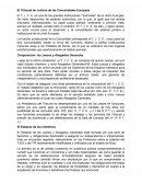 El Tribunal de Justicia de las Comunidades Europeas