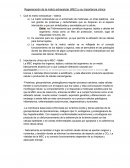 Regeneración de la matriz extracelular (MEC) y su importancia clínica