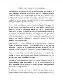 Análisis sobre el campo de las matemáticas