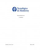 Responsabilidad Social y Ciudadanía