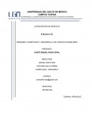 Orígenes, significado y desarrollo de constitucionalismo