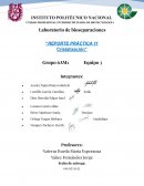 Reporte práctica 11 Cristalización