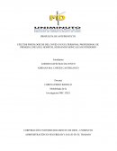 EFECTOS PSICOLOGICOS DEL COVID 19 EN EL PERSONAL PROFESIONAL DE PRIMERA LINEA DEL HOSPITAL HERNANDO MONCALEANO PERDOMO