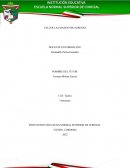 Taller. Película "Manos Milagrosas"