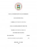 PLATAFORMA HORIZONTE PROFUNDO