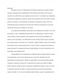 Ensayo sobre faces de la realidad política