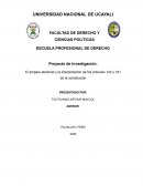 Proyecto de Investigación: El amparo electoral y la interpretación de los artículos 142 y 181 de la constitución
