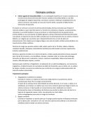 Patologias cardiacas