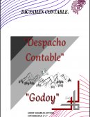 Dictamen De Los Estados Financieros