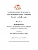 Ensayo sobre modelos de diseño organizacional de las empresas