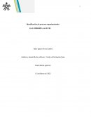 Análisis y desarrollo de software