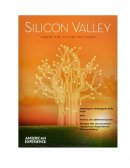Silicon valley