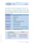 Actividad: La dirección estratégica en Toys «R» Us