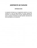 Experimentos caseros SERPIENTE DE FARAÓN
