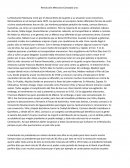 Revolución Mexicana Concepto uno