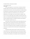 El cuidado del ambiente y salud durante las festividades