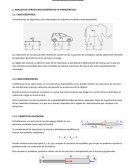 Estructuras Hiperestaticas