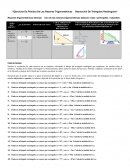 Ejercicios de práctica de las razones trigonométricas
