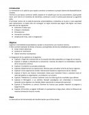 CAMINO HACIA LA REINVENCIÓN