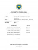 FORMULACIÓN DE PROYECTOS SOCIALES Y PRODUCTIVOS