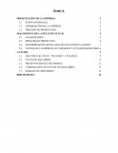 Practica Preprofesional DONAYRE GROUP S.A.C