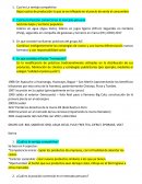 INTRODUCCIÓN AL MARKETING