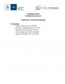 Psicología Laboral Actividad de proceso n°2