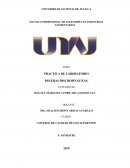 PRACTICA DE LABORATORIO PRUEBAS DISCRIMINATIVAS