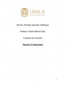 Proyecto de Inversión. Reporte: El Negociador