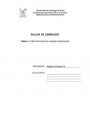 Análisis del Proceso de Liderazgo Organizacional
