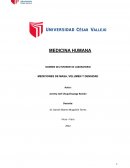 MEDICIONES DE MASA, VOLUMEN Y DENSIDAD