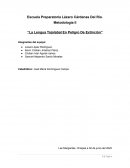 La lengua tojolabal en peligro de extinción