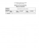 Laboratorio de cianobacterias