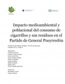 Impacto medioambiental y poblacional del consumo de cigarrillos y sus residuos en el Partido de General Pueyrredón