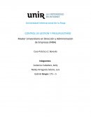 Caso Práctico 2: Borealis