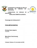 Psicología de la Educación II