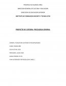 Proyecto de psicologia general