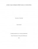 ¿De Qué es Capaz La Inteligencia Artificial?, Amazon y La Colección de Datos