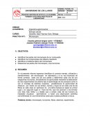 Informe de microscopia I