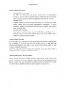 Segmentacion marketing