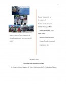 Impacto de la nueva reforma a la ley orgánica municipal para designación de delegados municipales