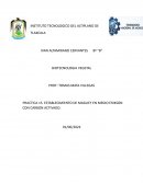 PRACTICA 15. ESTABLECIMIENTO DE MAGUEY EN MEDIO ERIKSON CON CARBON ACTIVADO