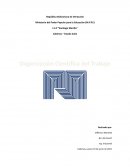 La organización científica del trabajo