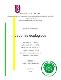 PROYECTO JABONES ECOLOGICOS. Página 1