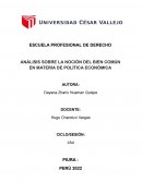 LA NOCIÓN DEL BIEN COMÚN EN MATERIA DE POLÍTICA ECONÓMICA