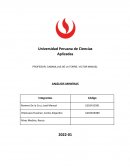 ANÁLISIS DE LOS ESTADOS FINANCIEROS SOUTHERN Y VOLCAN