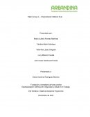 Taller del eje 4 – Interpretación Método Rula