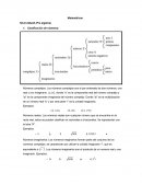 Matemáticas Nivel Albañil (Pre algebra)