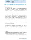 Caso práctico grupal: New Balance Athletic Shoe, Inc